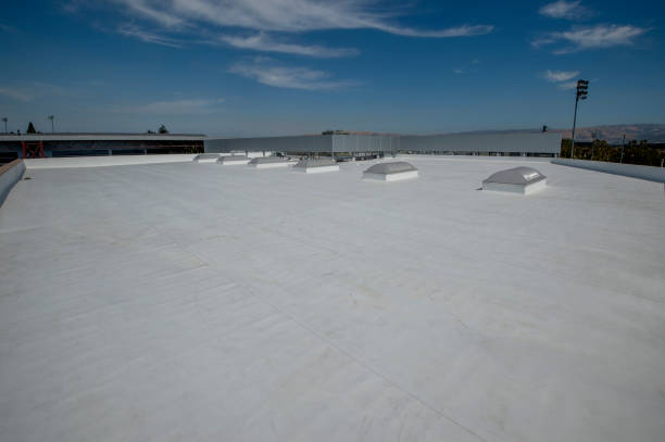 Best Roof Leak Repair  in Heyburn, ID